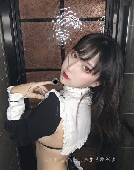 石纪元第一季